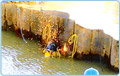 U/w Cutting in Marine Construction, Gujarat