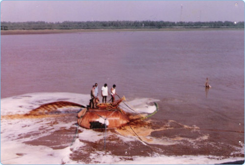 Salvage off Gujarat Coast