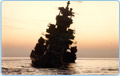 Marine Salvage Services